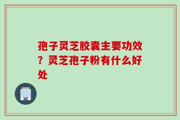 孢子灵芝胶囊主要功效？灵芝孢子粉有什么好处