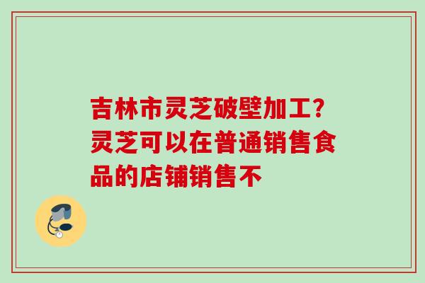 吉林市灵芝破壁加工？灵芝可以在普通销售食品的店铺销售不