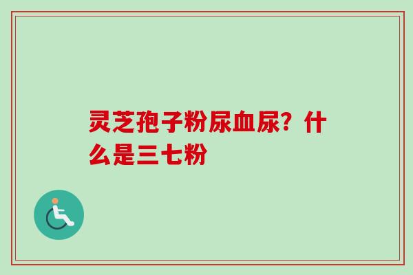 灵芝孢子粉尿血尿？什么是三七粉