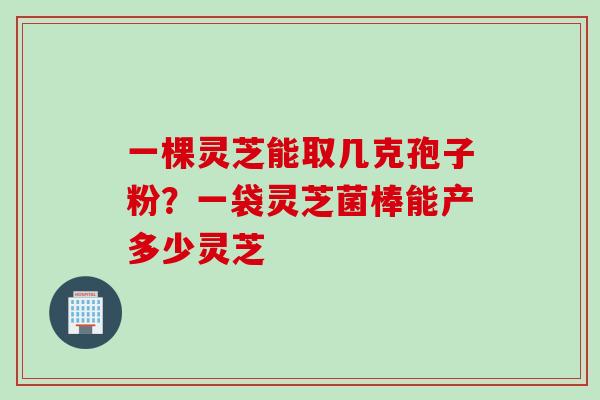 一棵灵芝能取几克孢子粉？一袋灵芝菌棒能产多少灵芝