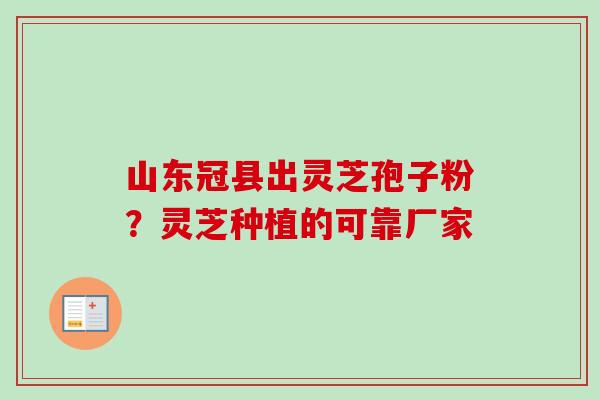 山东冠县出灵芝孢子粉？灵芝种植的可靠厂家