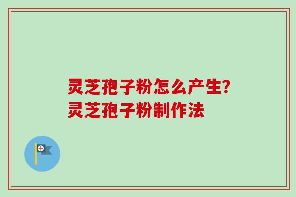 灵芝孢子粉怎么产生？灵芝孢子粉制作法