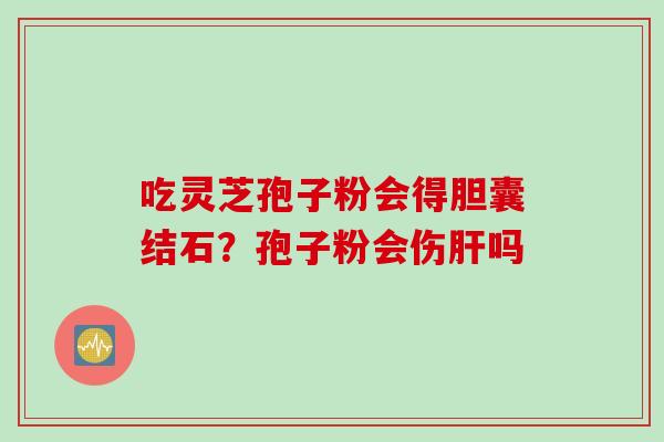 吃灵芝孢子粉会得胆囊结石？孢子粉会伤肝吗