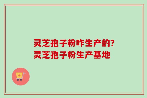 灵芝孢子粉咋生产的？灵芝孢子粉生产基地