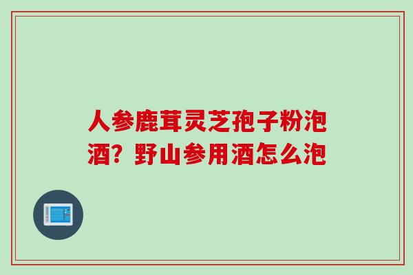 人参鹿茸灵芝孢子粉泡酒？野山参用酒怎么泡