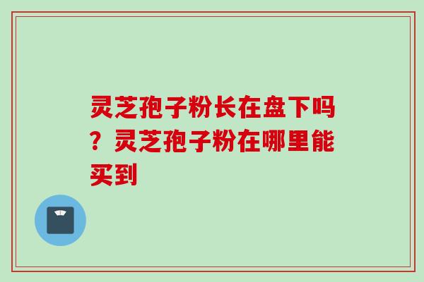 灵芝孢子粉长在盘下吗？灵芝孢子粉在哪里能买到