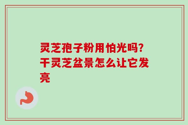 灵芝孢子粉用怕光吗？干灵芝盆景怎么让它发亮