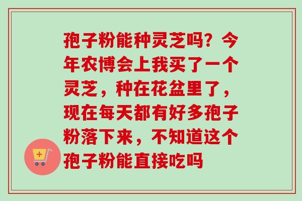 孢子粉能种灵芝吗？今年农博会上我买了一个灵芝，种在花盆里了，现在每天都有好多孢子粉落下来，不知道这个孢子粉能直接吃吗