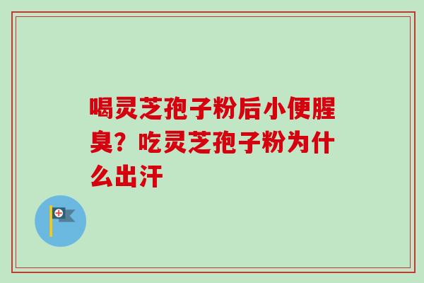 喝灵芝孢子粉后小便腥臭？吃灵芝孢子粉为什么出汗