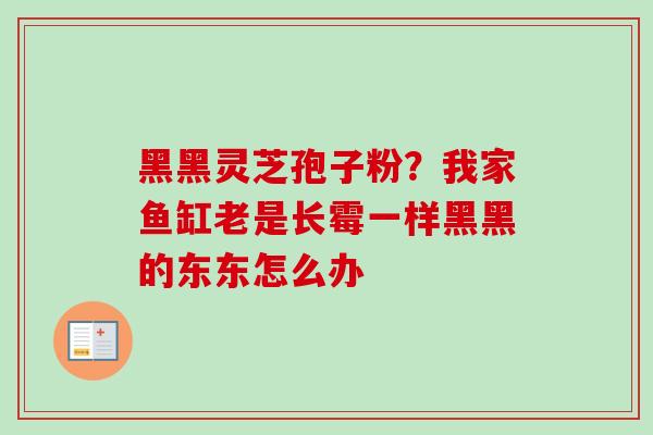 黑黑灵芝孢子粉？我家鱼缸老是长霉一样黑黑的东东怎么办