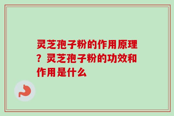 灵芝孢子粉的作用原理？灵芝孢子粉的功效和作用是什么