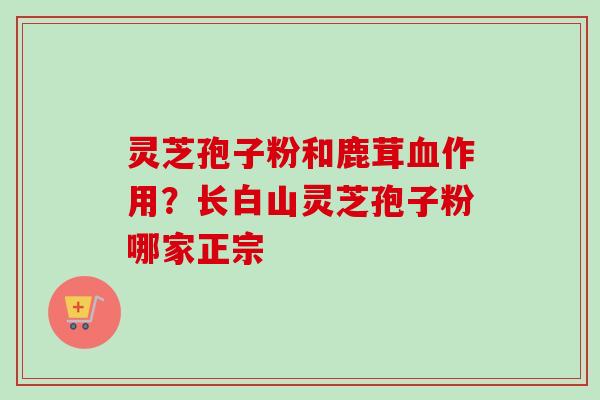 灵芝孢子粉和鹿茸血作用？长白山灵芝孢子粉哪家正宗