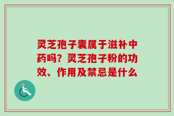 灵芝孢子囊属于滋补中药吗？灵芝孢子粉的功效、作用及禁忌是什么