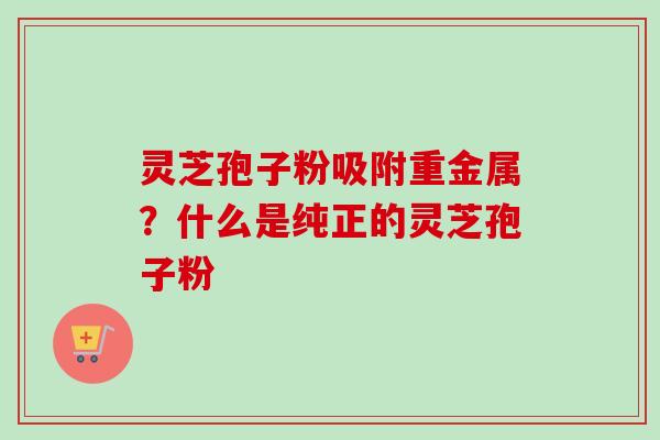 灵芝孢子粉吸附重金属？什么是纯正的灵芝孢子粉