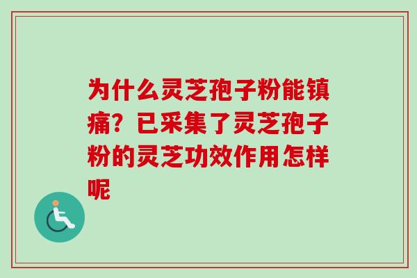 为什么灵芝孢子粉能镇痛？已采集了灵芝孢子粉的灵芝功效作用怎样呢