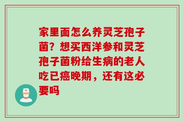 家里面怎么养灵芝孢子菌？想买西洋参和灵芝孢子菌粉给生病的老人吃已癌晚期，还有这必要吗