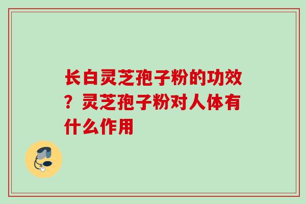 长白灵芝孢子粉的功效？灵芝孢子粉对人体有什么作用