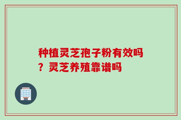 种植灵芝孢子粉有效吗？灵芝养殖靠谱吗