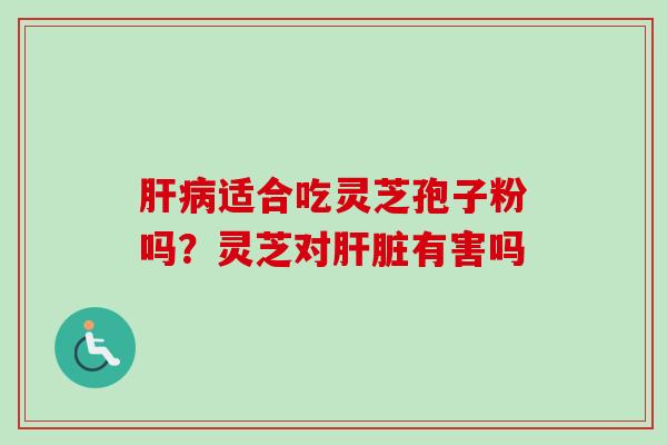 肝病适合吃灵芝孢子粉吗？灵芝对肝脏有害吗