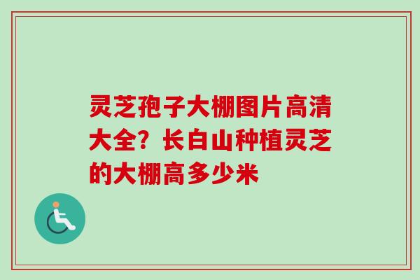 灵芝孢子大棚图片高清大全？长白山种植灵芝的大棚高多少米