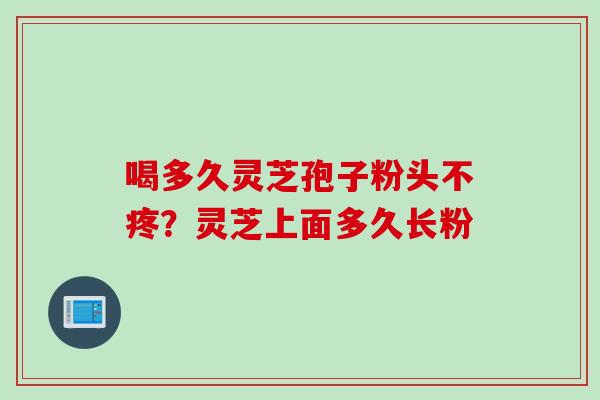 喝多久灵芝孢子粉头不疼？灵芝上面多久长粉