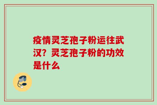 疫情灵芝孢子粉运往武汉?灵芝孢子粉的功效是什么 疫情灵芝孢子粉运往武汉?灵芝孢子粉的功效是什么