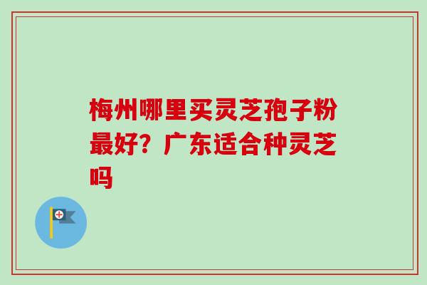 梅州哪里买灵芝孢子粉最好？广东适合种灵芝吗