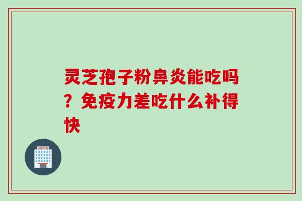 灵芝孢子粉鼻炎能吃吗？免疫力差吃什么补得快