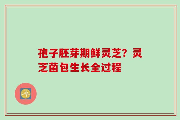 孢子胚芽期鲜灵芝？灵芝菌包生长全过程