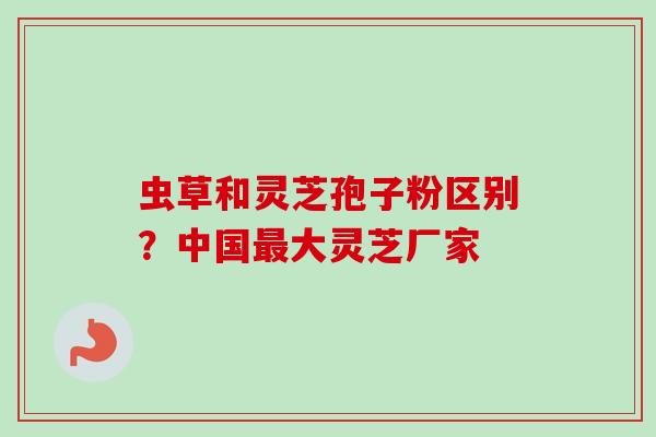 虫草和灵芝孢子粉区别？中国最大灵芝厂家