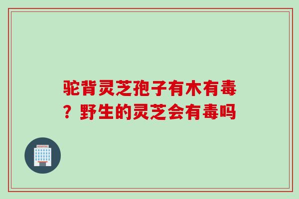 驼背灵芝孢子有木有毒？野生的灵芝会有毒吗