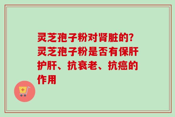 灵芝孢子粉对肾脏的？灵芝孢子粉是否有保肝护肝、抗衰老、抗癌的作用