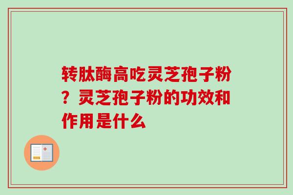 转肽酶高吃灵芝孢子粉？灵芝孢子粉的功效和作用是什么