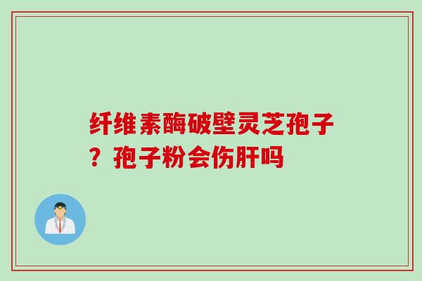 纤维素酶破壁灵芝孢子？孢子粉会伤肝吗