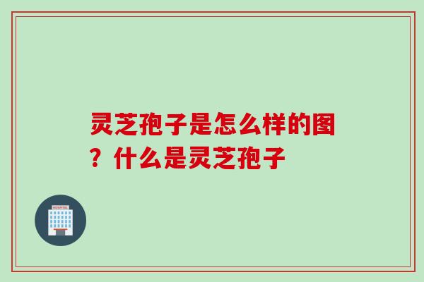 灵芝孢子是怎么样的图？什么是灵芝孢子