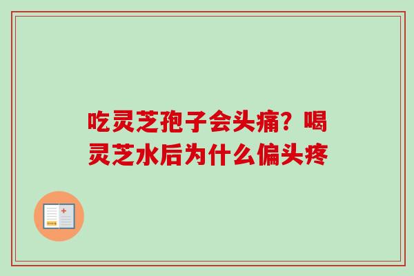吃灵芝孢子会头痛？喝灵芝水后为什么偏头疼