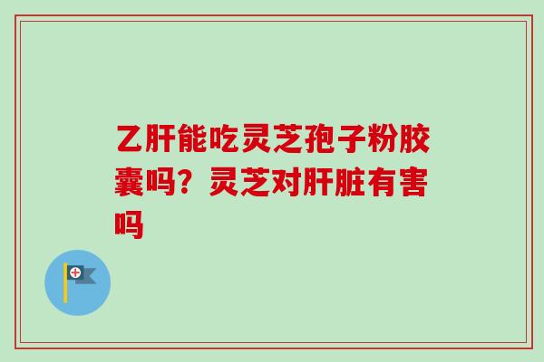 乙肝能吃灵芝孢子粉胶囊吗？灵芝对肝脏有害吗