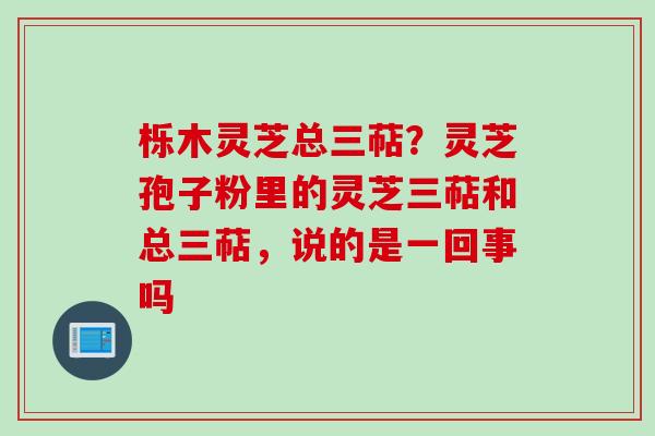 栎木灵芝总三萜？灵芝孢子粉里的灵芝三萜和总三萜，说的是一回事吗