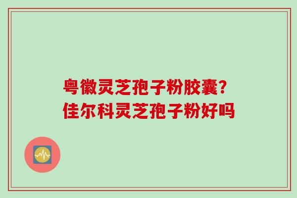 粤徽灵芝孢子粉胶囊？佳尔科灵芝孢子粉好吗