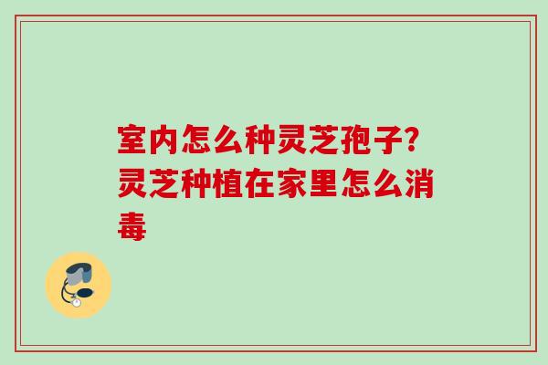 室内怎么种灵芝孢子?灵芝种植在家里怎么消毒 室内怎么种灵芝孢子?灵芝种植在家里怎么消毒
