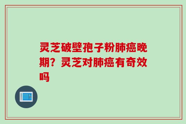 灵芝破壁孢子粉肺癌晚期？灵芝对肺癌有奇效吗