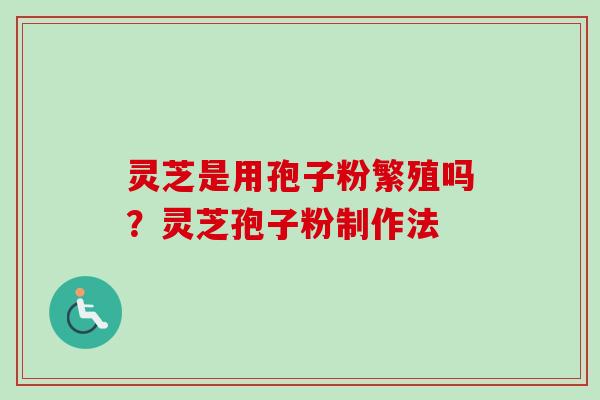 灵芝是用孢子粉繁殖吗？灵芝孢子粉制作法