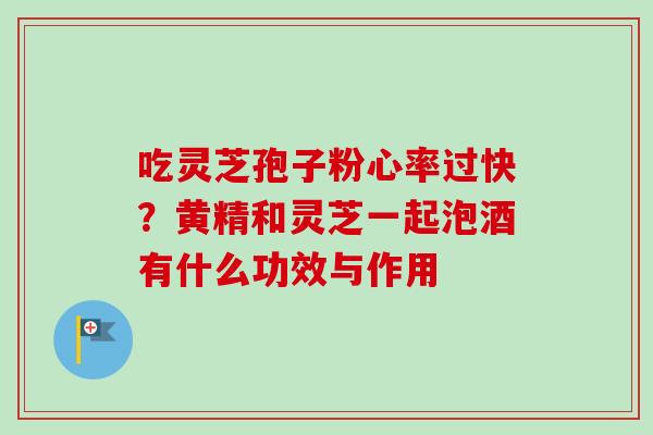 吃灵芝孢子粉心率过快？黄精和灵芝一起泡酒有什么功效与作用