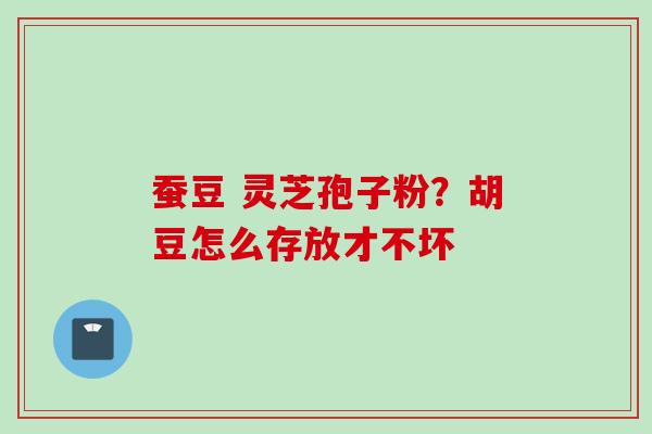 蚕豆 灵芝孢子粉？胡豆怎么存放才不坏
