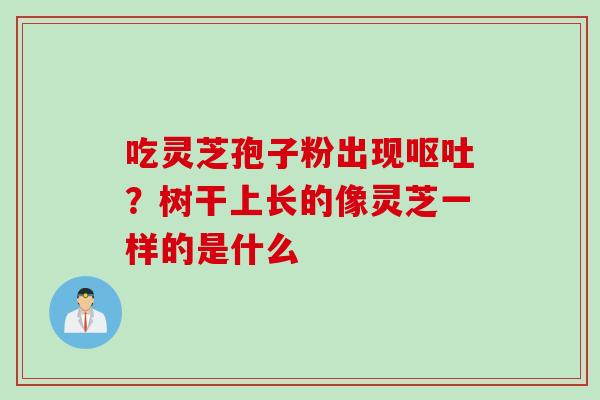 吃灵芝孢子粉出现呕吐？树干上长的像灵芝一样的是什么