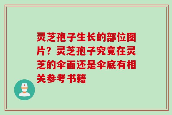 灵芝孢子生长的部位图片？灵芝孢子究竟在灵芝的伞面还是伞底有相关参考书籍