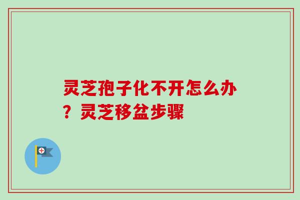 灵芝孢子化不开怎么办？灵芝移盆步骤
