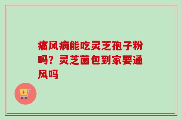 痛风病能吃灵芝孢子粉吗？灵芝菌包到家要通风吗