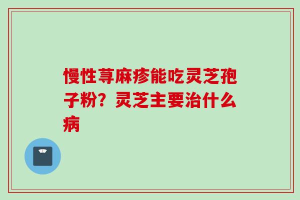 慢性荨麻疹能吃灵芝孢子粉？灵芝主要治什么病