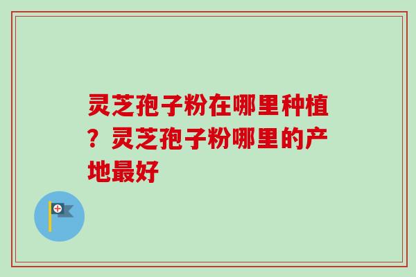 灵芝孢子粉在哪里种植？灵芝孢子粉哪里的产地最好